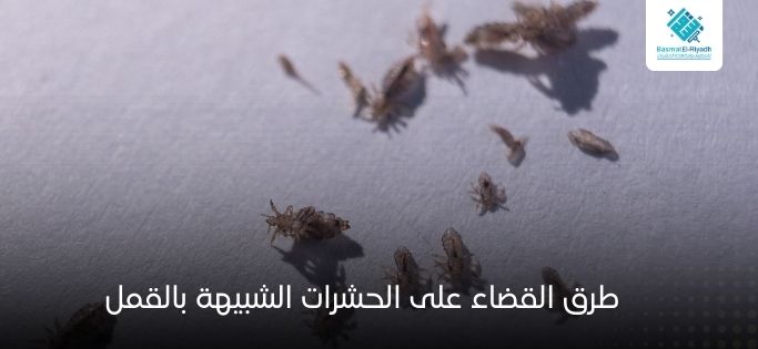 طرق القضاء على الحشرات الشبيهة بالقمل